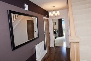 chestnut shadwell 53 sm.jpg